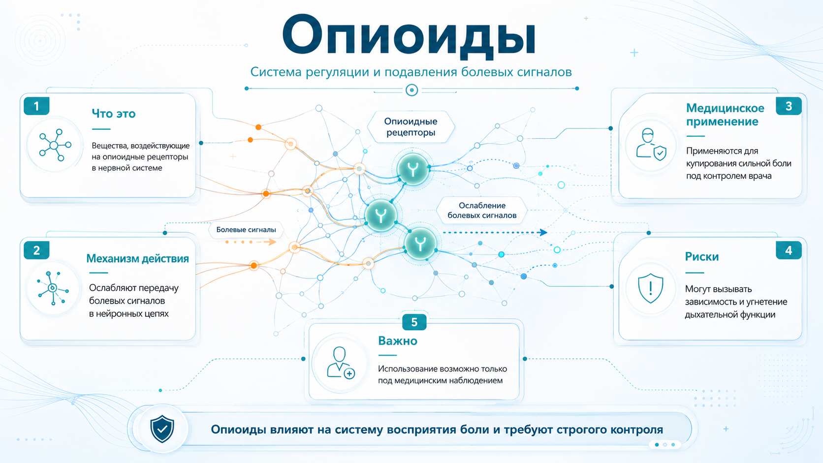 Опиоиды — система регуляции и подавления болевых сигналов Светлая медицинская инфографика о действии опиоидов: абстрактная нейронная сеть с рецепторными узлами, показывающая ослабление болевых сигналов, медицинское применение, риски и необходимость врачебного контроля.